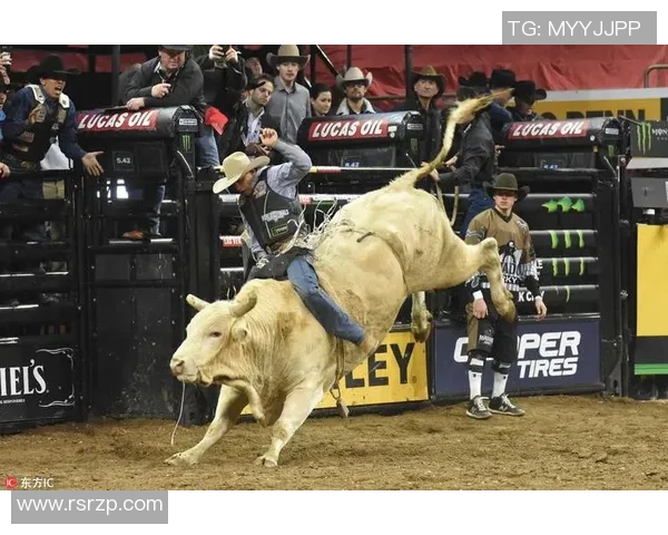 极限运动比赛经验排行榜揭晓杭州极限运动队荣获第十名佳绩